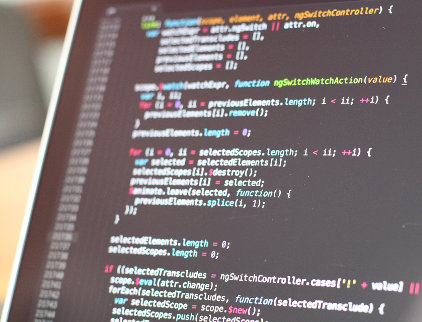 Services de développement logiciel